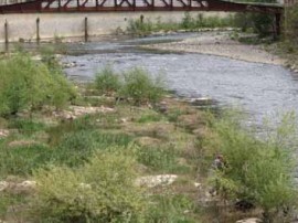 La riqueza faunística de las graveras, un síntoma de la recuperación ambiental que ha experimentado el Oria en las últimas décadas.